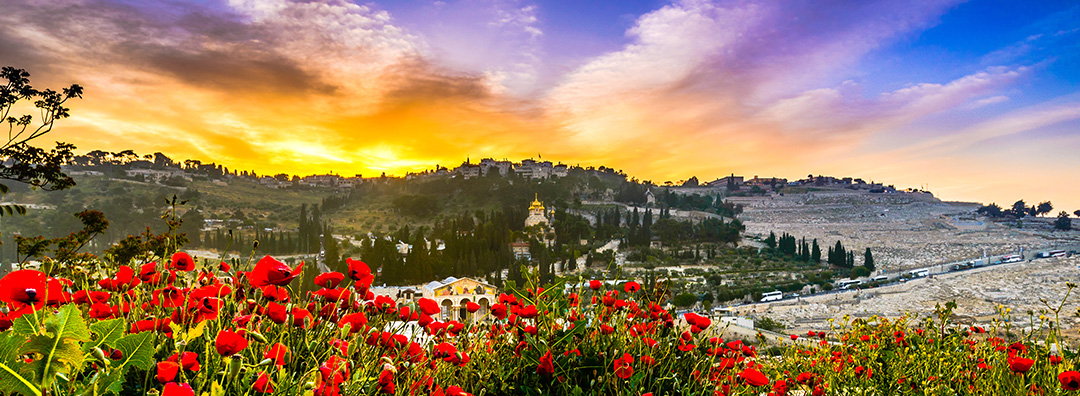 10 Day Private Messianic Israel Tour - Jerusalem Focus