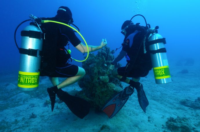 Where the fun begins: proffessional divers at Eilat's reef