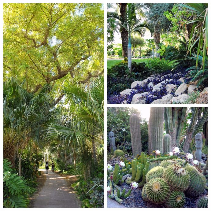 The botanical garden at Kibbutz Ein Gedi