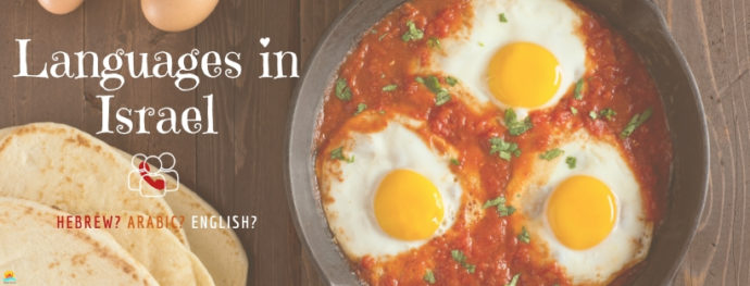 Languages spoke in Israel alongside a popular dish - Shakshuka with pita bread