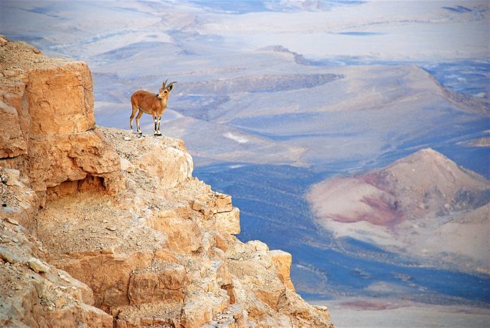 Ramon Crater