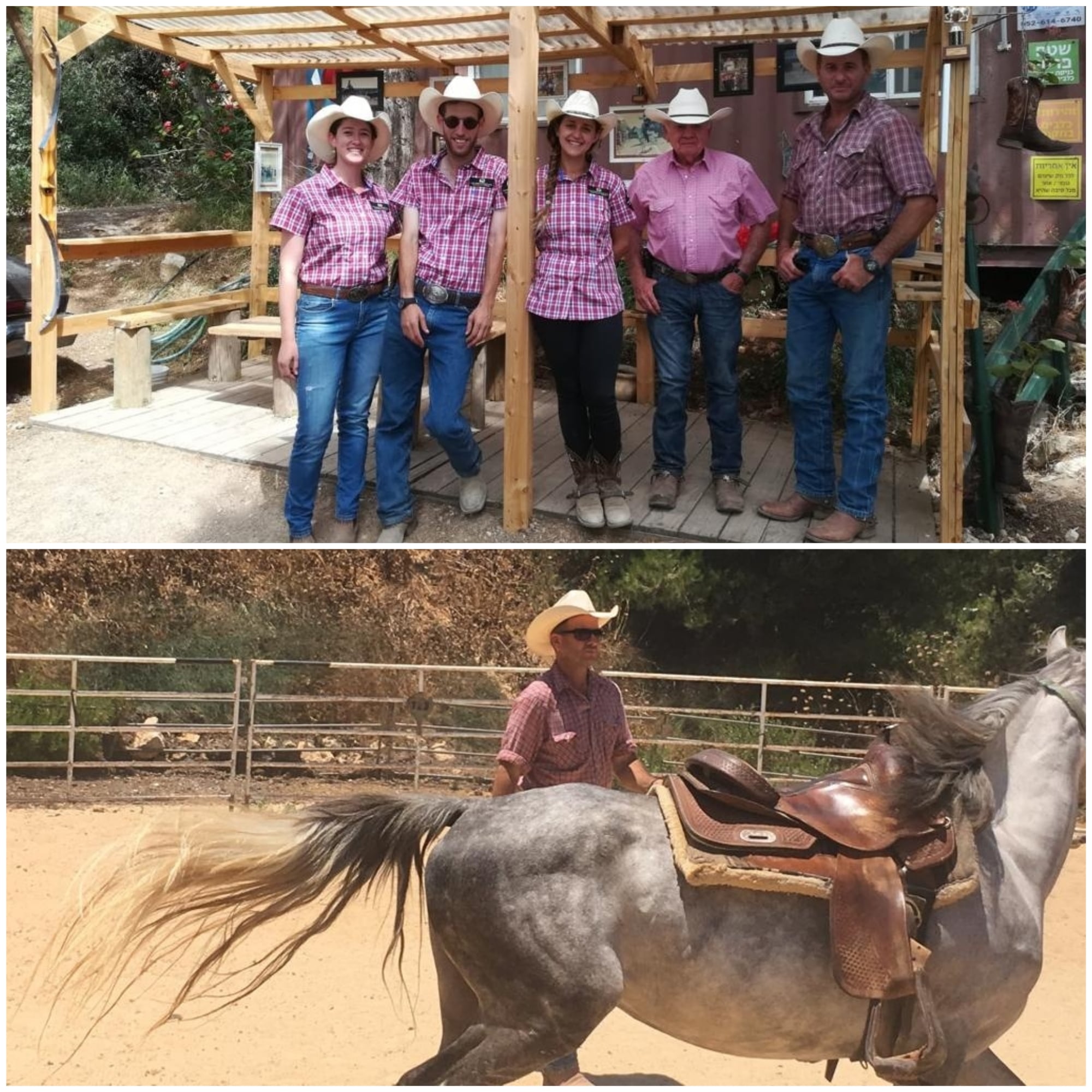 staff at king david stables jerusalem staff at king david stables jerusalem