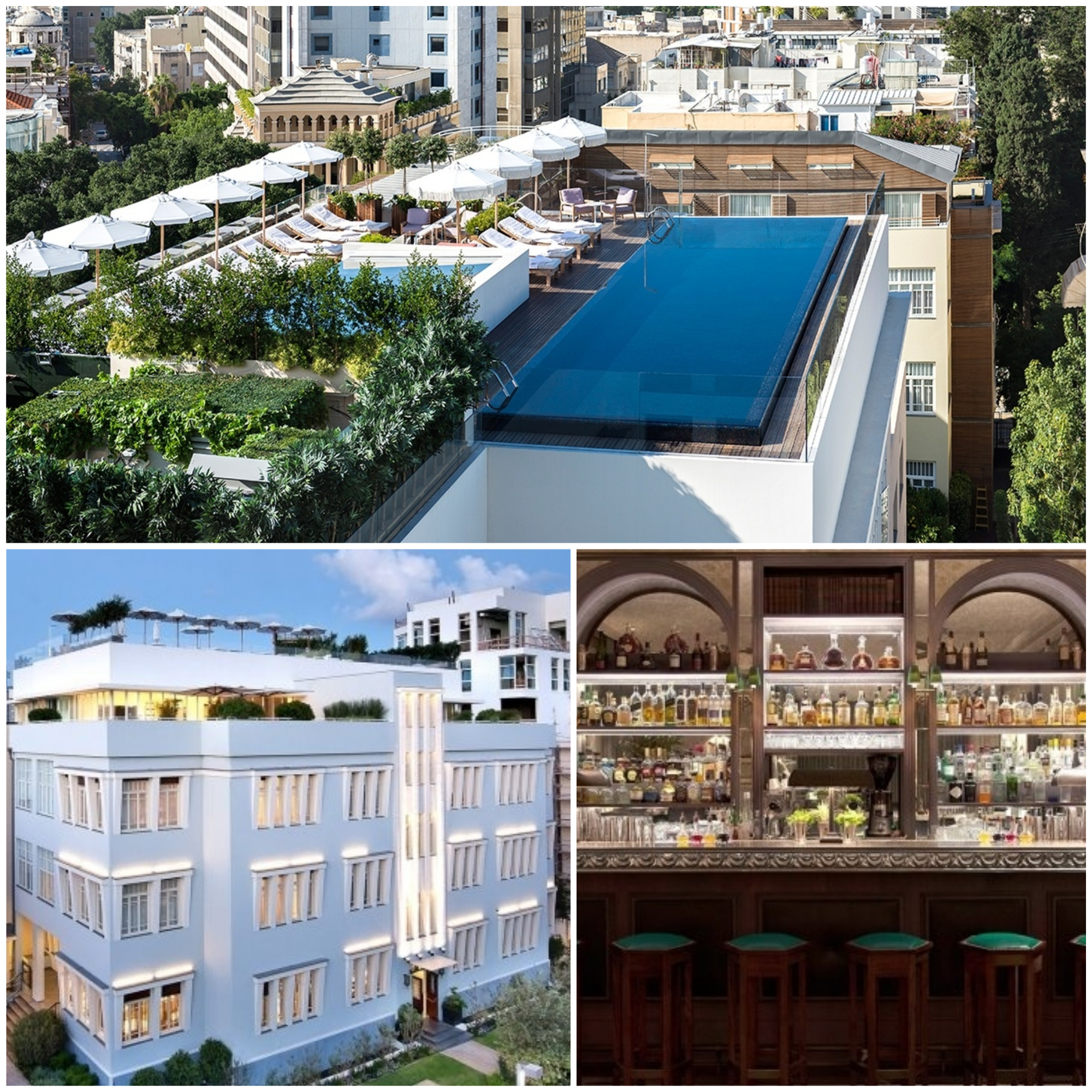 The Norman, a luxury hotel with a beautiful pool on the roof, perfect for Tel Aviv's weather.