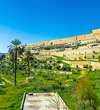 Jerusalem Underground Private Day Tour