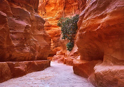 9 Day Israel & Petra Private Family Tour