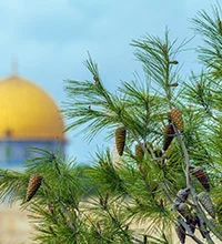 New Jerusalem Private Day Tour