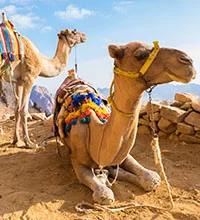 8 Day Jordan & Israel Tour