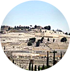8 Giorni Pellegrinaggio Cattolico In Terra Santa