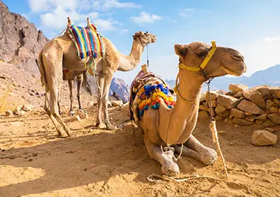 Private Israel Jordan Egypt Tours
