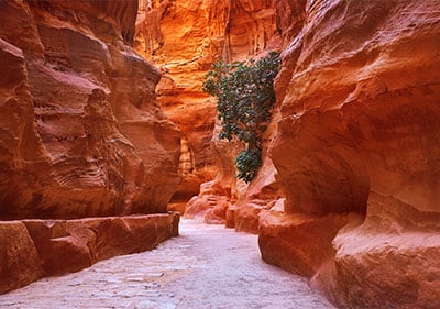 Viajes Privados a Israel y Jordania