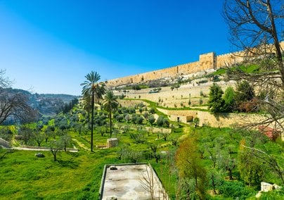Israel Private Family Tours